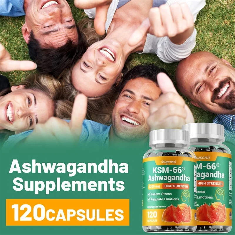Cápsulas de extratos de Ashwag - Tulsi Holy Basil avaliação e preço
